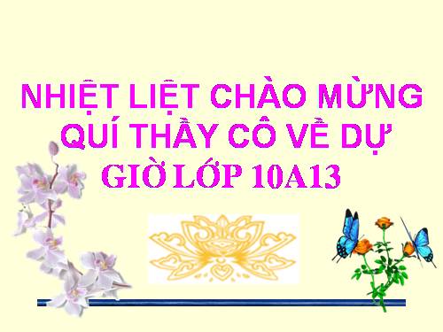 Chương III. §3. Phương trình và hệ phương trình bậc nhất nhiều ẩn