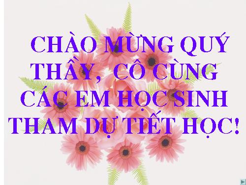 Chương II. §3. Hàm số bậc hai