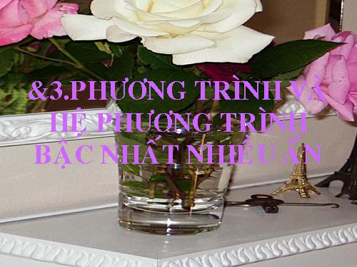 Chương III. §3. Phương trình và hệ phương trình bậc nhất nhiều ẩn