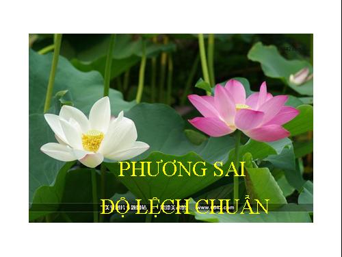 Chương V. §4. Phương sai và độ lệch chuẩn