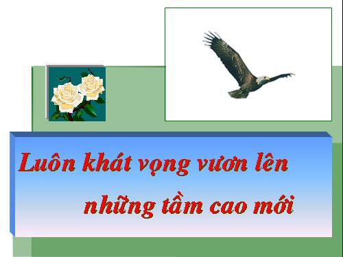 Chương II. §3. Hàm số bậc hai