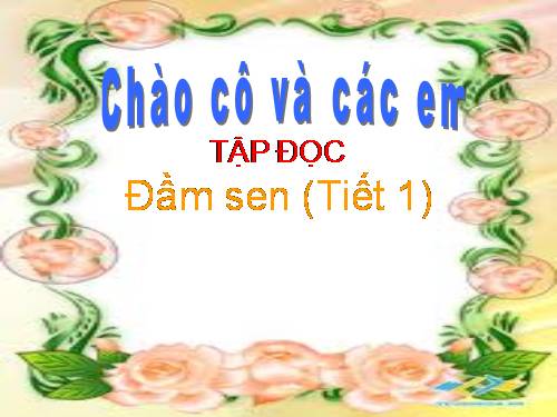 Tuần 6. Đầm sen