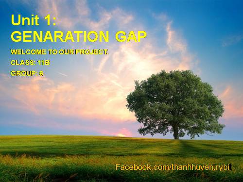 Unit 1. The generation gap. Lesson 8. Looking back and project