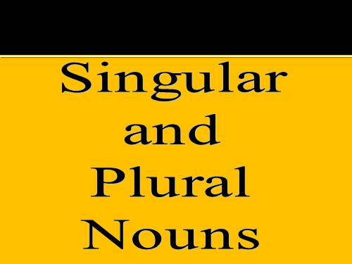 singular and plural nouns