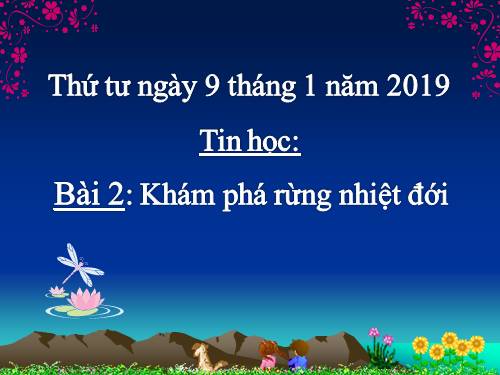 Chương IV. Bài 2. Khám phá rừng nhiệt đới