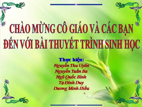 Bài 19. Tạo giống bằng phương pháp gây đột biến và công nghệ tế bào