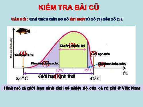 Bài 36. Quần thể sinh vật và mối quan hệ giữa các cá thể trong quần thể