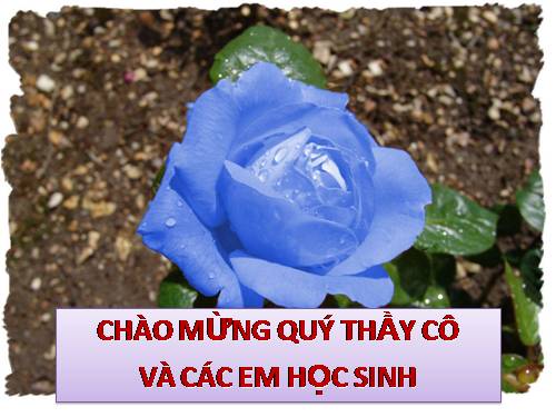 Bài 20. Tạo giống nhờ công nghệ gen