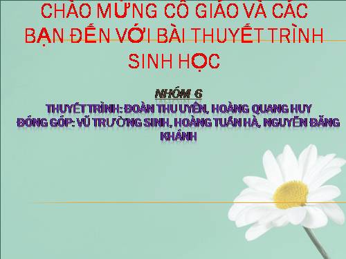 Bài 20. Tạo giống nhờ công nghệ gen