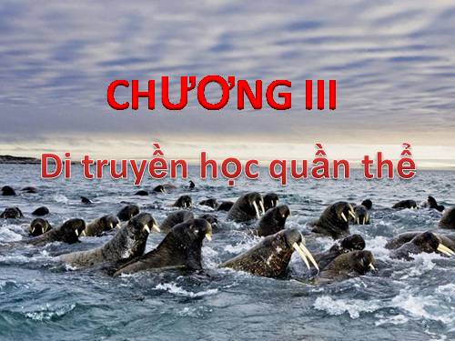 Bài 17. Cấu trúc di truyền của quần thể (tiếp theo)