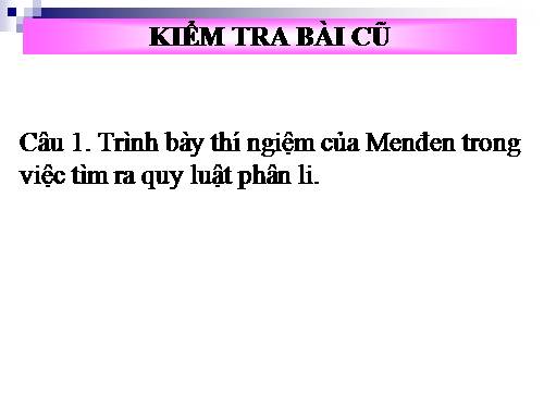 Bài 9. Quy luật Menđen: Quy luật phân li độc lập