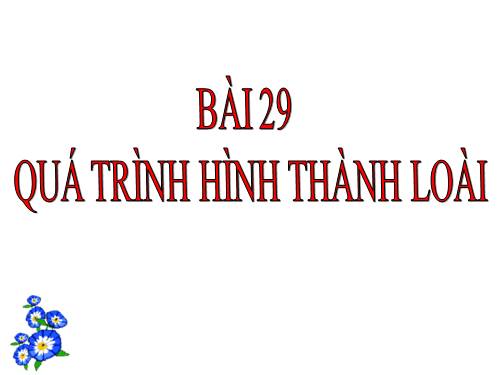 Bài 29. Quá trình hình thành loài