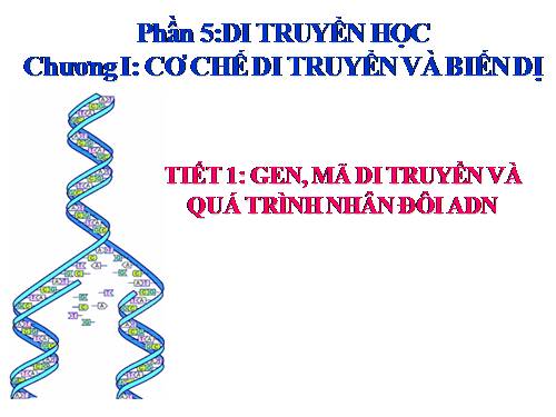 Bài 1. Gen, mã di truyền và quá trình nhân đôi ADN