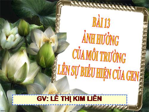 Bài 13. Ảnh hưởng của môi trường lên sự biểu hiện của gen