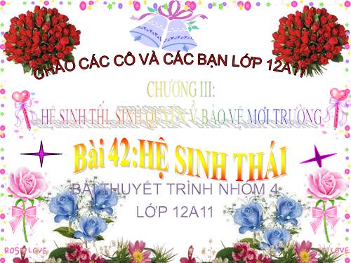 Bài 42. Hệ sinh thái