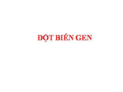 Bài 4. Đột biến gen