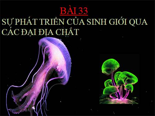 Bài 33. Sự phát triển của sinh giới qua các đại địa chất