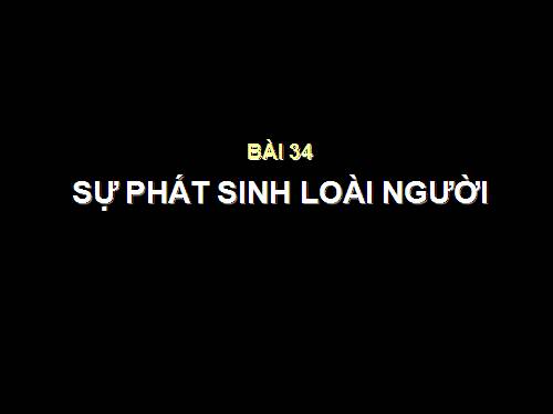 Bài 34. Sự phát sinh loài người