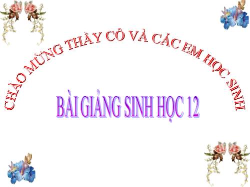 Bài 36. Quần thể sinh vật và mối quan hệ giữa các cá thể trong quần thể