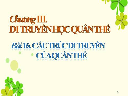 Bài 16. Cấu trúc di truyền của quần thể