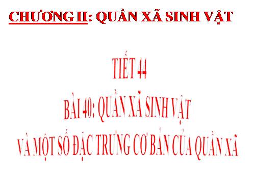 Bài 40. Quần xã sinh vật và một số đặc trưng cơ bản của quần xã