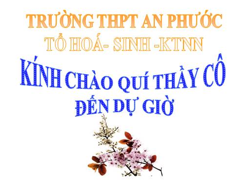 Bài 41. Diễn thế sinh thái