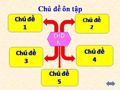 Bài 23. Ôn tập phần Di truyền học