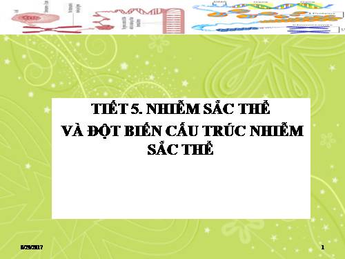 Bài 5. Nhiễm sắc thể và đột biến cấu trúc nhiễm sắc thể