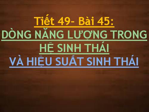 Bài 45. Dòng năng lượng trong hệ sinh thái và hiệu suất sinh thái