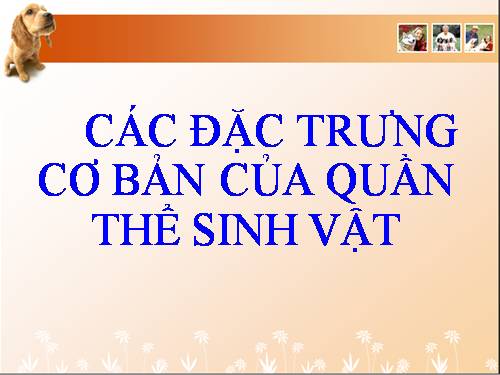 Bài 37. Các đặc trưng cơ bản của quần thể sinh vật