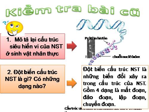 Bài 6. Đột biến số lượng nhiễm sắc thể