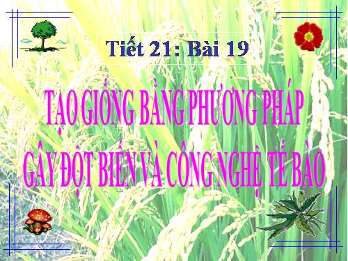 Bài 19. Tạo giống bằng phương pháp gây đột biến và công nghệ tế bào