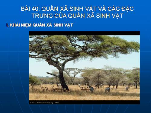 Bài 40. Quần xã sinh vật và một số đặc trưng cơ bản của quần xã