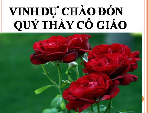 Bài 16. Cấu trúc di truyền của quần thể