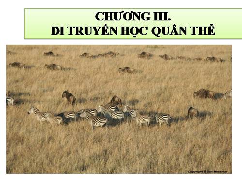 Bài 16. Cấu trúc di truyền của quần thể