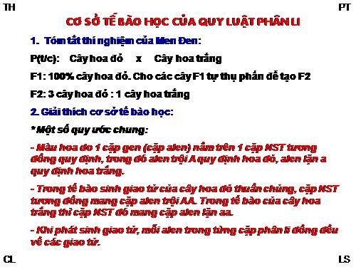 Bài 8. Quy luật Menđen: Quy luật phân li