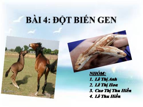 Bài 4. Đột biến gen