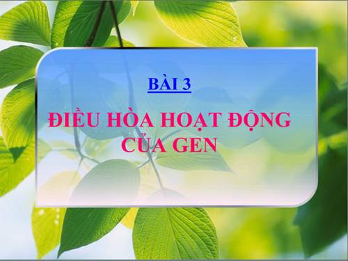 Bài 3. Điều hoà hoạt động gen