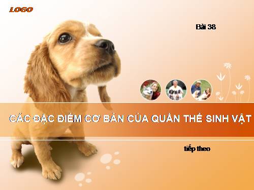 Bài 38. Các đặc trưng cơ bản của quần thể sinh vật (tiếp theo)