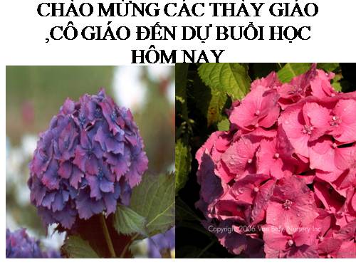 Bài 13. Ảnh hưởng của môi trường lên sự biểu hiện của gen