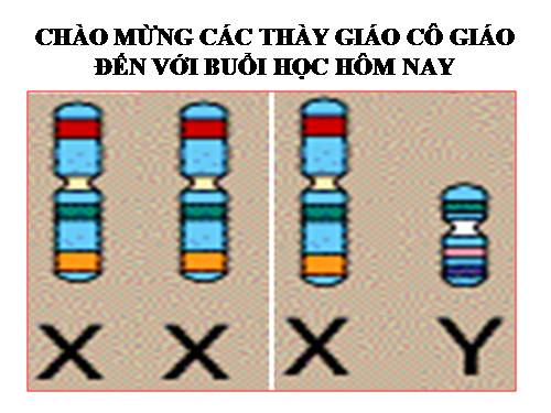 Bài 12. Di truyền liên kết với giới tính và di truyền ngoài nhân