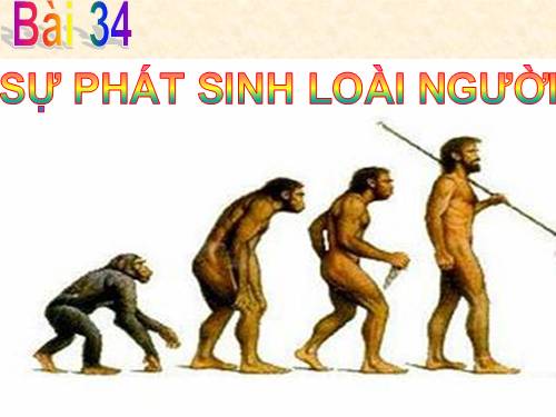 Bài 34. Sự phát sinh loài người