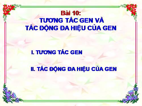 Bài 10. Tương tác gen và tác động đa hiệu của gen