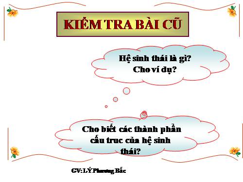 Bài 43. Trao đổi vật chất trong hệ sinh thái