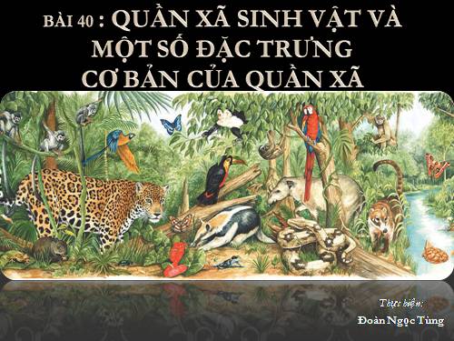 Bài 40. Quần xã sinh vật và một số đặc trưng cơ bản của quần xã