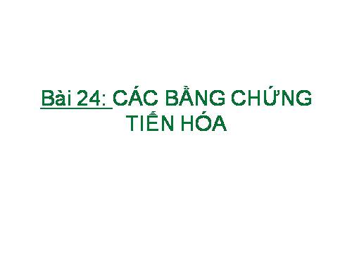 Bài 24. Các bằng chứng tiến hoá