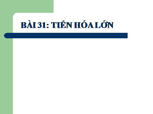 Bài 31. Tiến hoá lớn