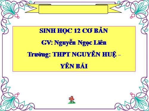 Bài 27. Quá trình hình thành quần thể thích nghi