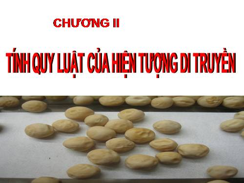 Bài 8. Quy luật Menđen: Quy luật phân li