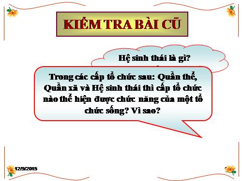 Bài 43. Trao đổi vật chất trong hệ sinh thái